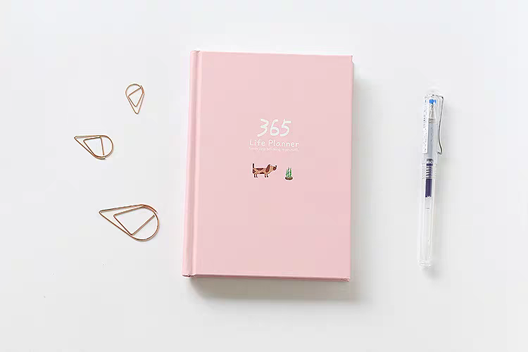 365 Life Planner / Diary / Journal