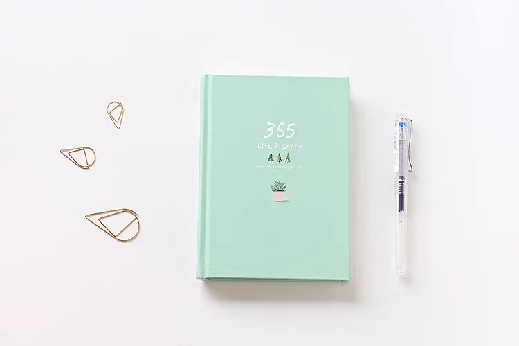 365 Life Planner / Diary / Journal