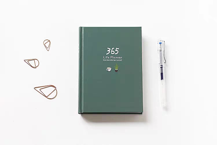 365 Life Planner / Diary / Journal