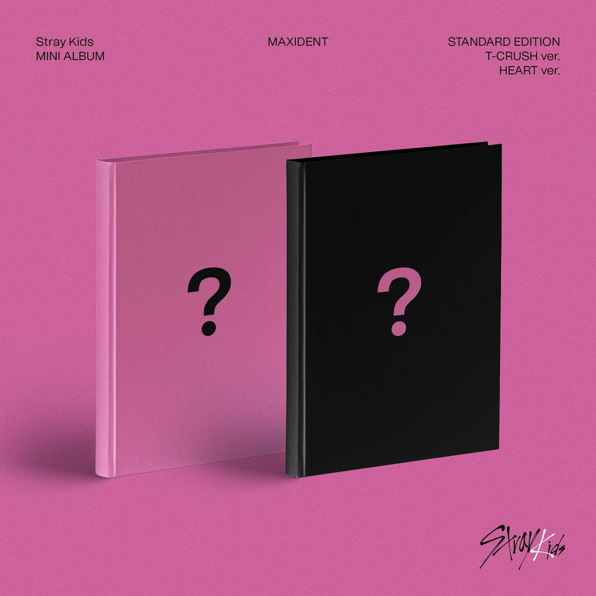 Maxident Inclusions Stray Kids - MAXIDENT (Standard Edition) - Qute & Quirky