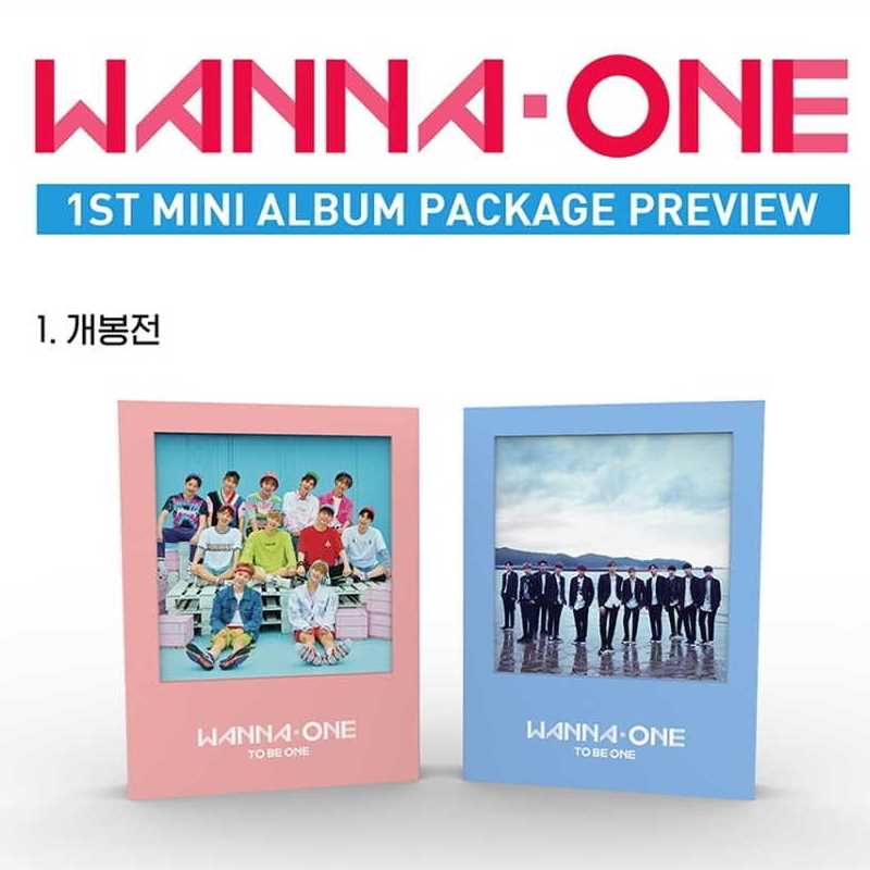 Wanna One - To Be One