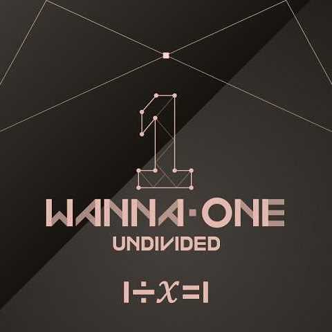 Wanna One - Undivided