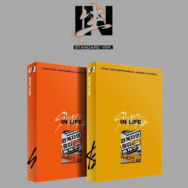 Stray Kids - 1st Album Repackaged - IN生 (IN LIFE) (STANDARD EDITION)